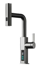 Stainless Steel Pull Out Kitchen Faucet