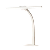 Desk Lamp Dual Use Eye Friendly Study Reading Writing Bedside Children Students