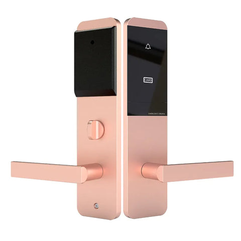 Smart Home Hotel Door Lock Apartment Rental Multifunction