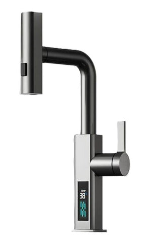 Stainless Steel Pull Out Kitchen Faucet
