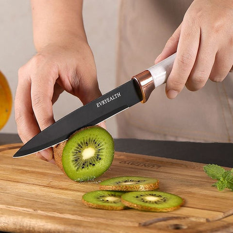 Kitchen Knife Set 6 Piece Stainless Steel Block