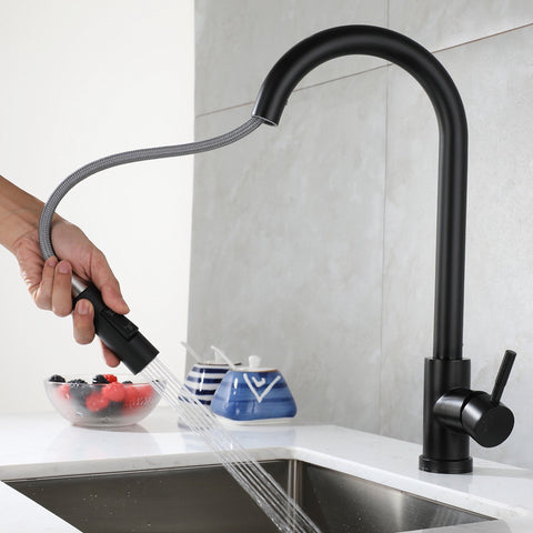Stainless Steel Telescopic Kitchen Faucet