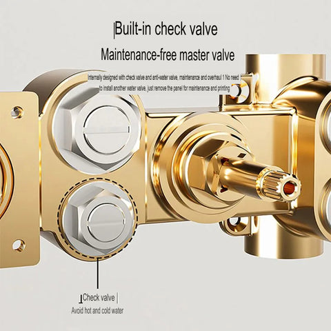 Thermostatic Concealed Shower Head