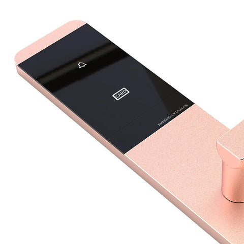 Smart Home Hotel Door Lock Apartment Rental Multifunction