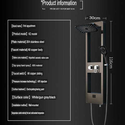 Gunmetal Gray Thermostatic Shower With Digital Display