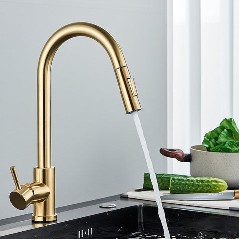 Stainless Steel Telescopic Kitchen Faucet
