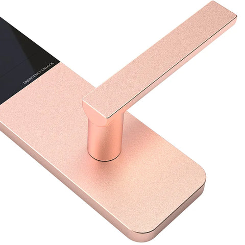 Smart Home Hotel Door Lock Apartment Rental Multifunction