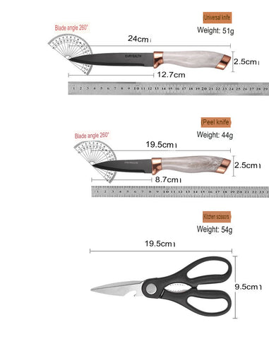 Kitchen Knife Set 6 Piece Stainless Steel Block