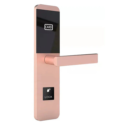 Smart Home Hotel Door Lock Apartment Rental Multifunction