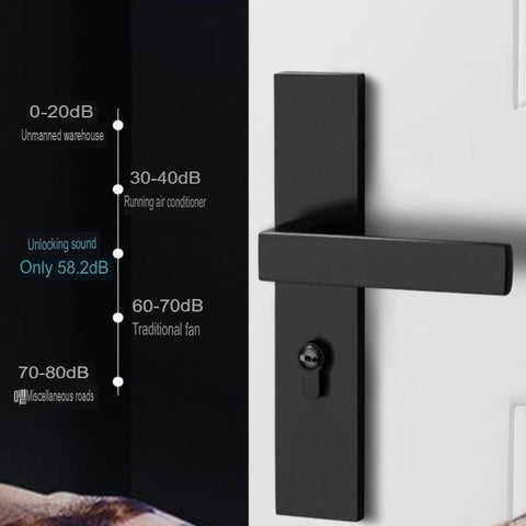 Black Door Lock Indoor Bedroom Bathroom Handle Split Lock
