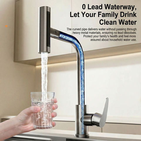 Raindry Stainless Steel Kitchen Faucet