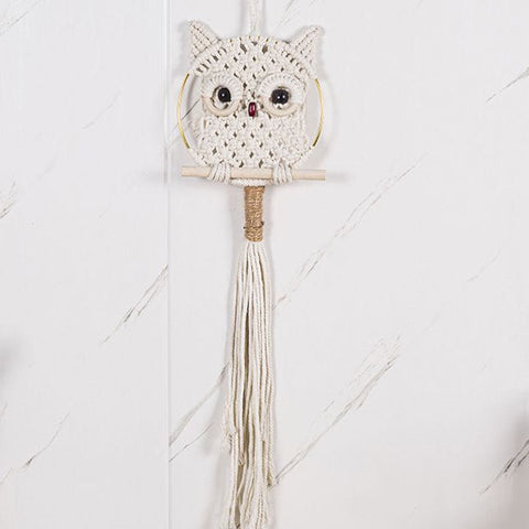 Hand-Woven Owl Macrame Wall Hanging