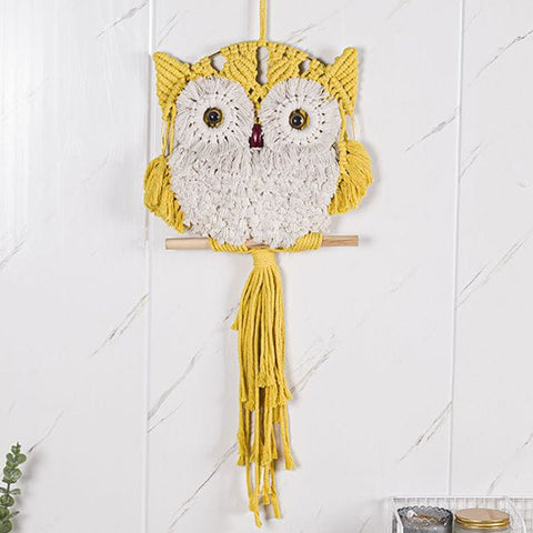 Hand-Woven Owl Macrame Wall Hanging