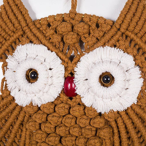 Hand-Woven Owl Macrame Wall Hanging