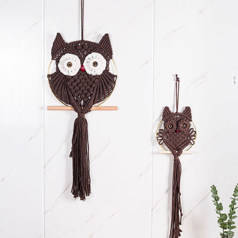Hand-Woven Owl Macrame Wall Hanging