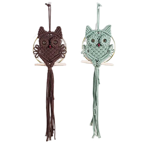 Hand-Woven Owl Macrame Wall Hanging
