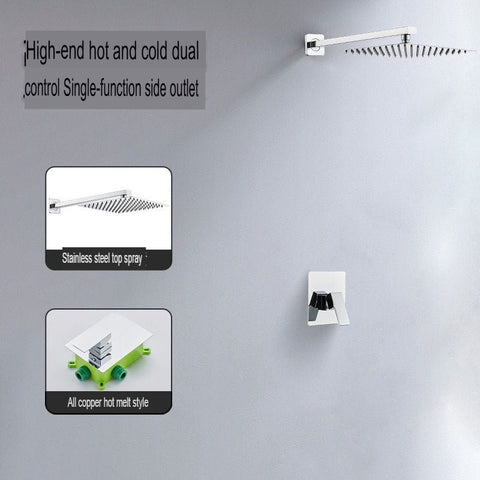 Concealed Shower Head Hot Melt Dual Use Embedded