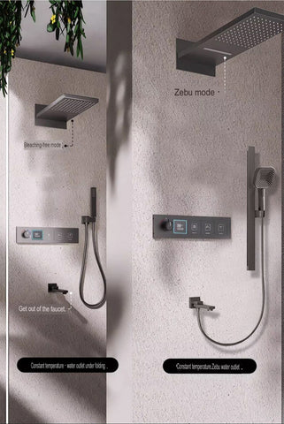 Thermostatic Concealed Shower Head