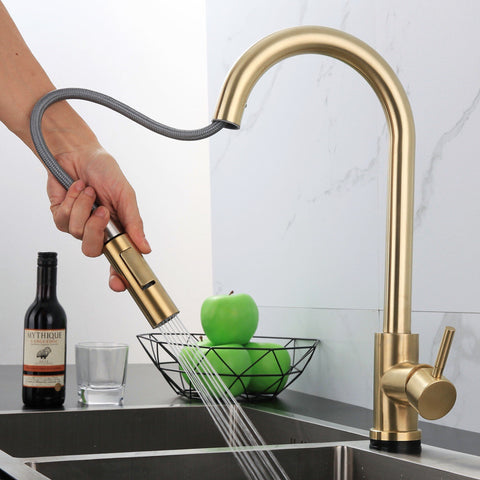 Stainless Steel Telescopic Kitchen Faucet