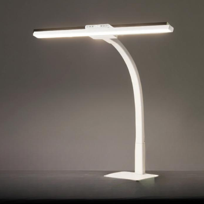 Desk Lamp Dual Use Eye Friendly Study Reading Writing Bedside Children Students