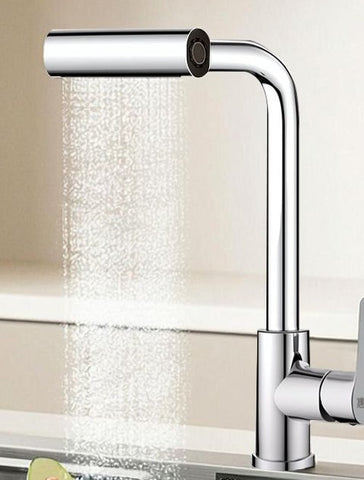 Raindry Stainless Steel Kitchen Faucet
