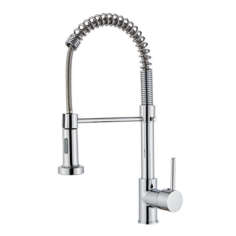 Silver Brass Spring Kitchen Faucet